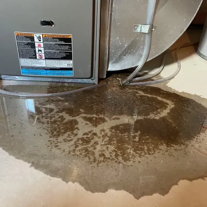 Appliance Leak Cleanup in Tappan, NY